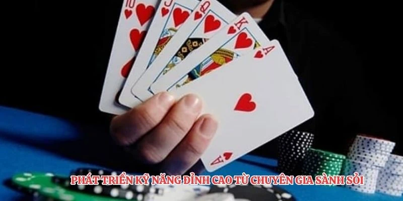 Phát triển kỹ năng đỉnh cao từ chuyên gia sành sỏi