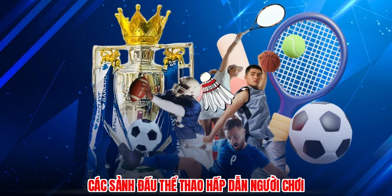 Các sảnh đấu thể thao hấp dẫn người chơi